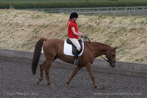 ISIS Dressage Challenge 2008